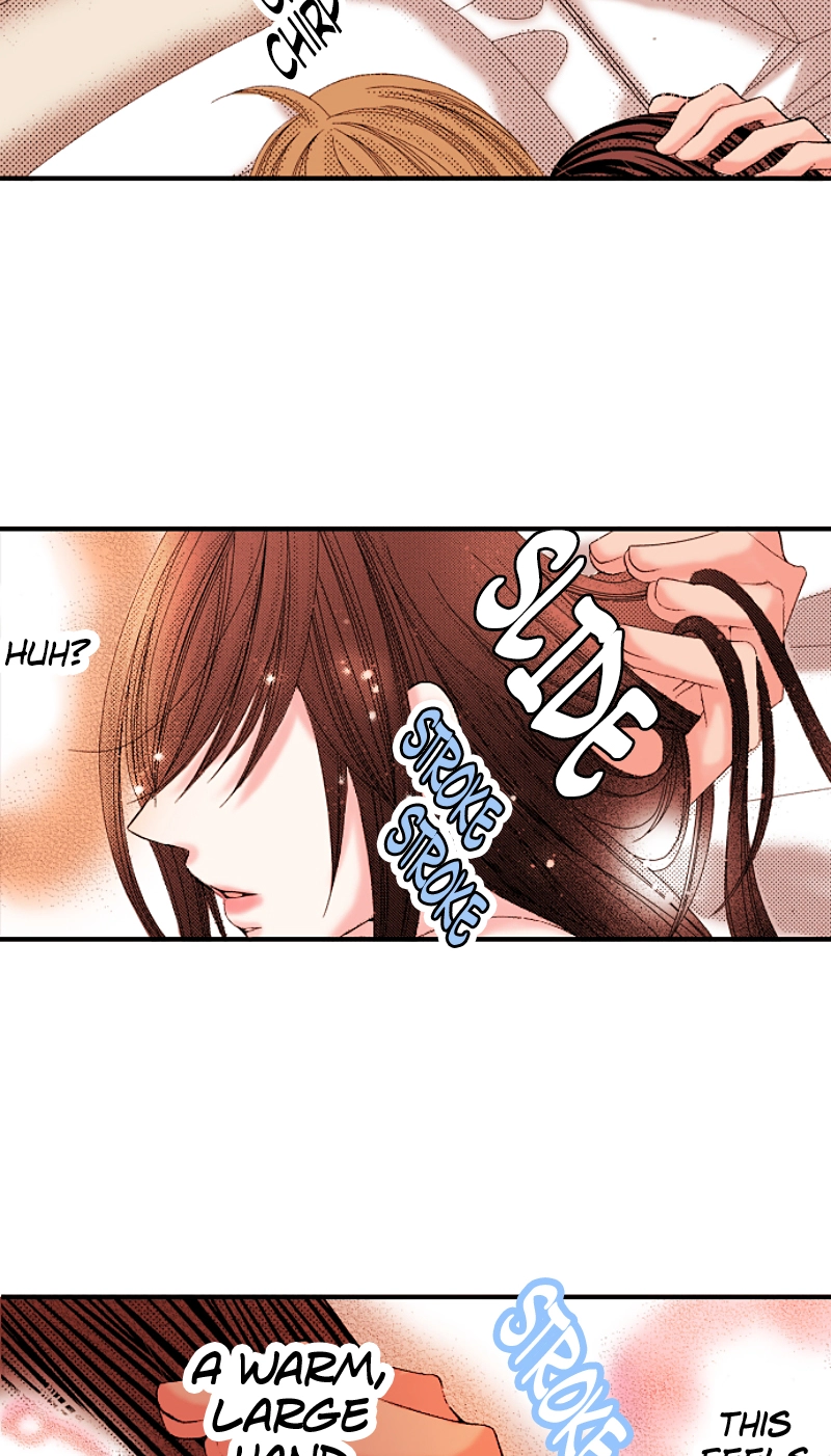 Kyousei Kekkon - Gaten Nikushoku Danshi x Interi Soushoku Joshi Chapter 91 page 40 - 