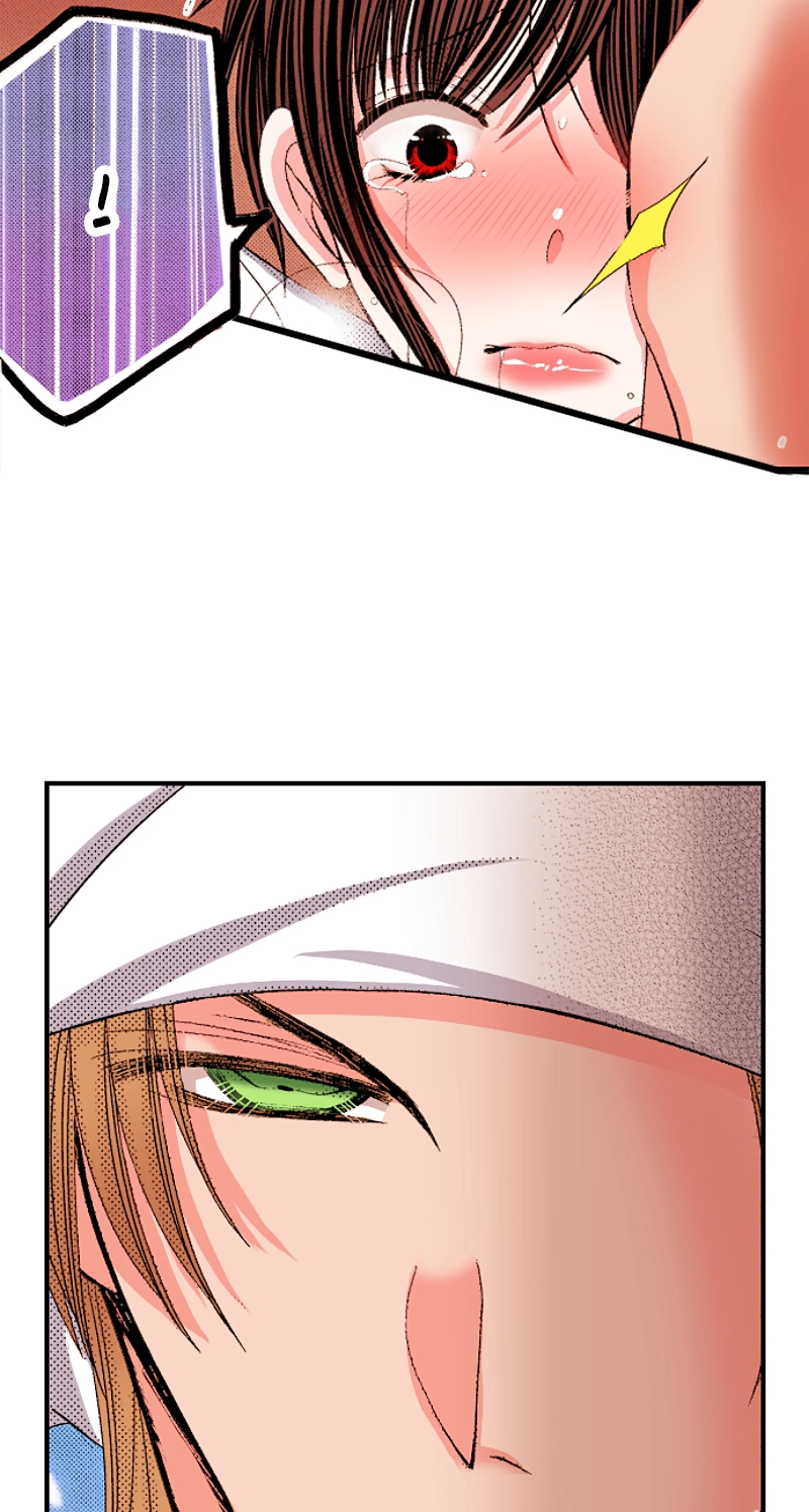 Kyousei Kekkon - Gaten Nikushoku Danshi x Interi Soushoku Joshi Chapter 95 page 20 - 