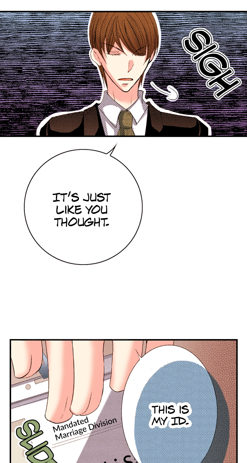 Kyousei Kekkon - Gaten Nikushoku Danshi x Interi Soushoku Joshi Chapter 97 page 23 - 