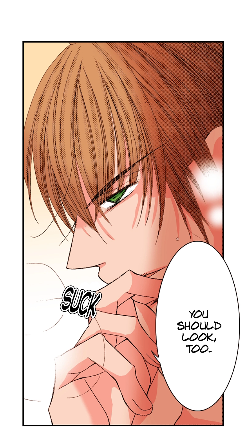 Kyousei Kekkon - Gaten Nikushoku Danshi x Interi Soushoku Joshi Chapter 99 page 33 - 