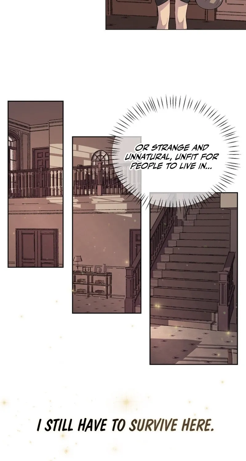 Lady and Gentle Love Chapter 1 page 63 - 