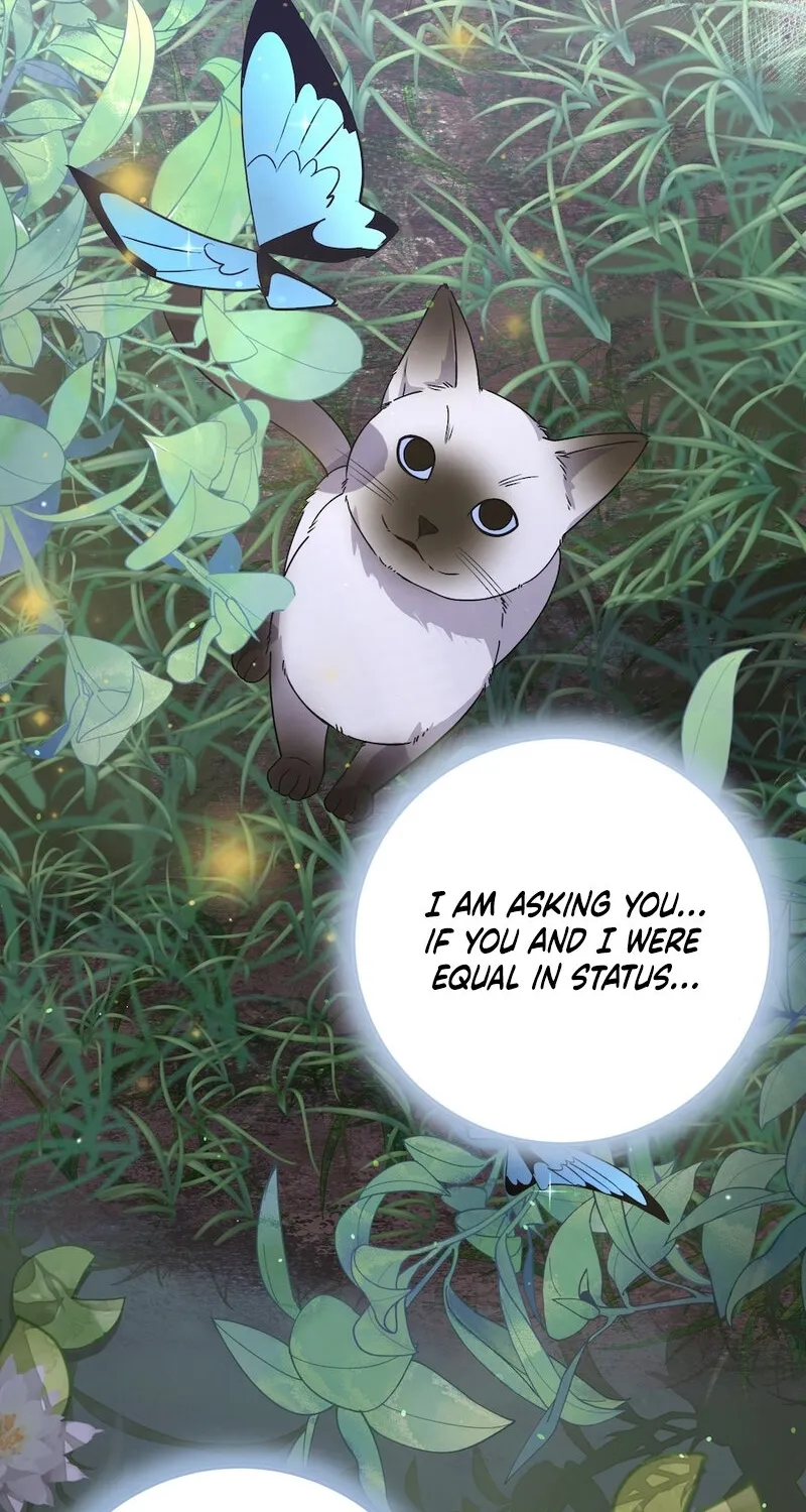Lady and Gentle Love Chapter 11 page 2 - 