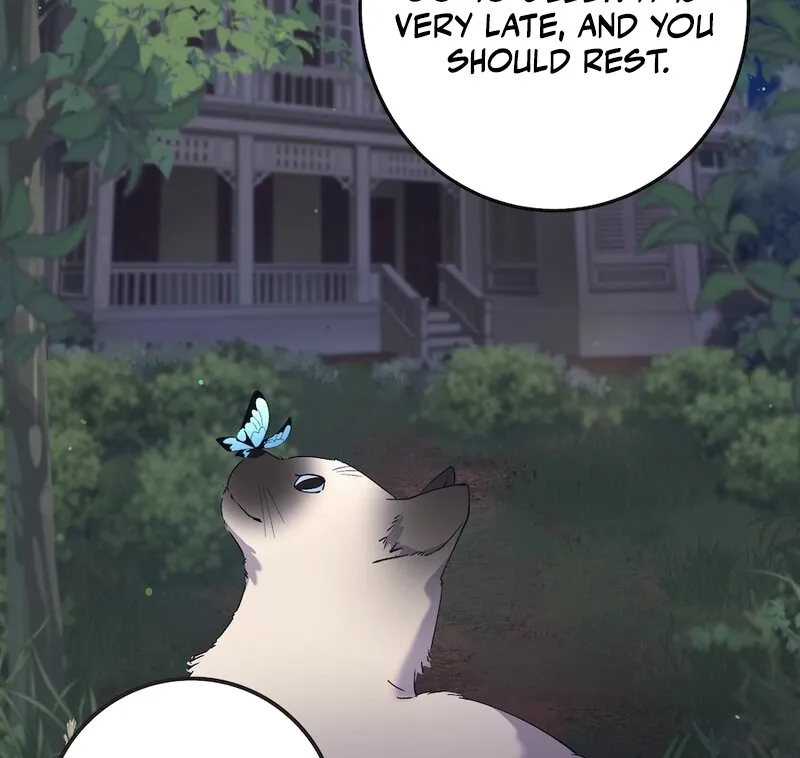 Lady and Gentle Love Chapter 11 page 15 - 