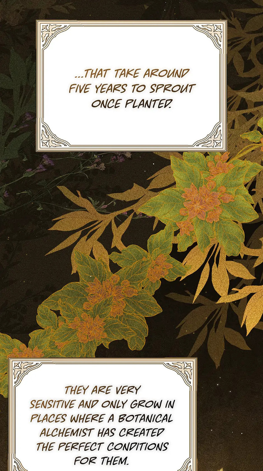 Lady Baby Is a Revenge Maker Chapter 37 page 3 - 
