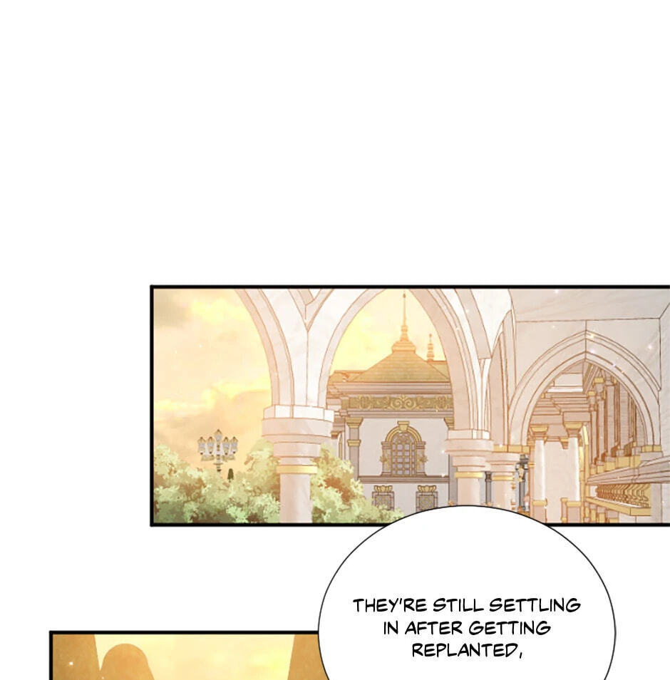 Lady Baby Chapter 201 page 25 - 