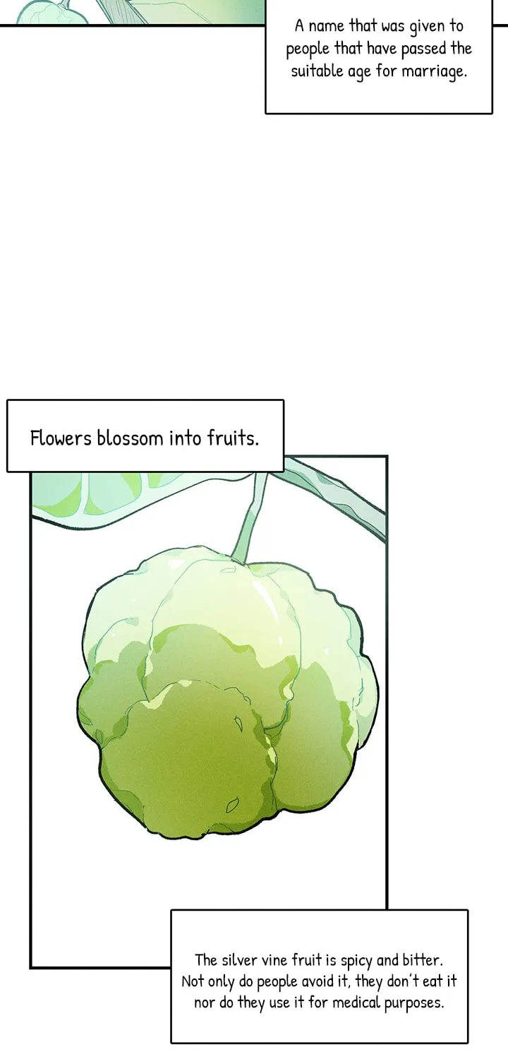 Lady Chef Royale Chapter 12 page 42 - 
