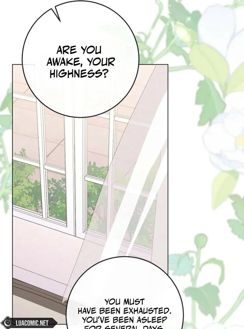 Lady Chef Royale Chapter 188 page 14 - 