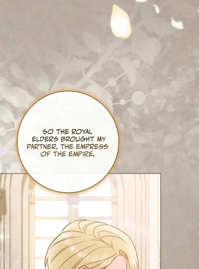 Lady Chef Royale Chapter 189 page 20 - 