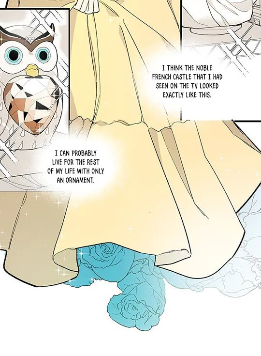Lady Chef Royale Chapter 2 page 6 - 