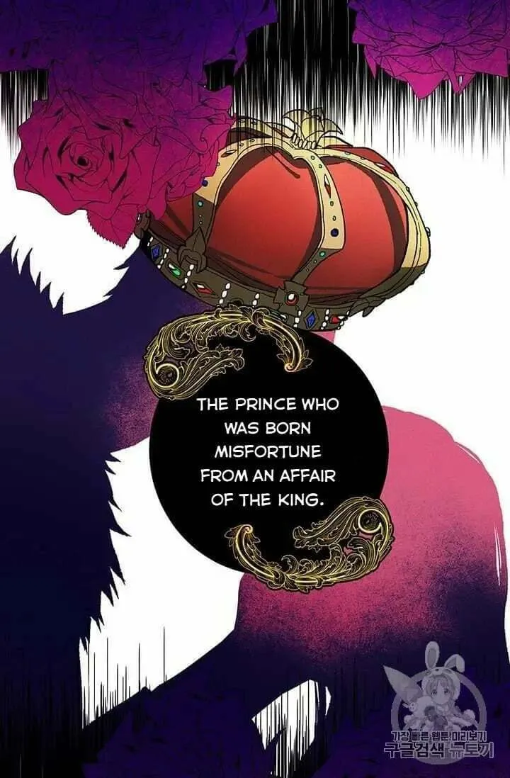 Lady Chef Royale Chapter 20.5 page 14 - 