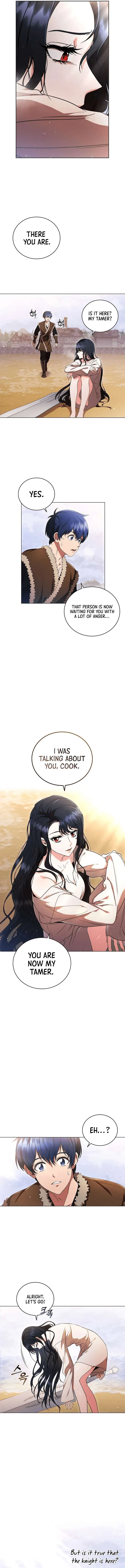 Lady Dragon Chapter 2 page 11 - 