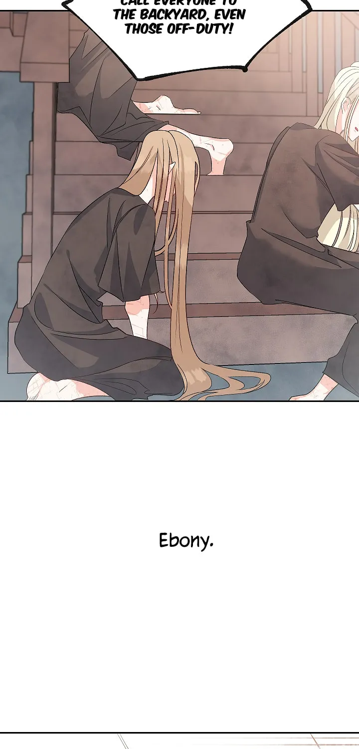 Lady Evony Chapter 37 page 3 - 
