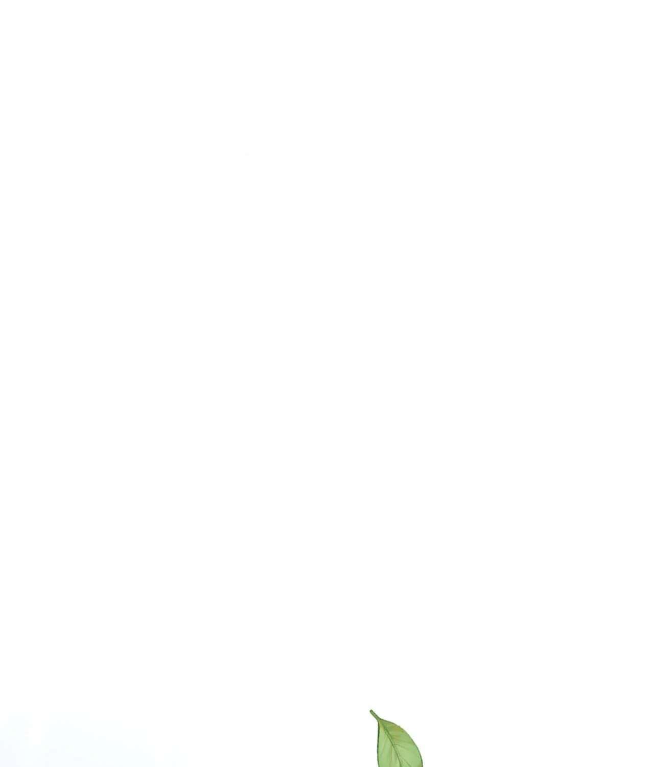 Leaves Dancing on a Melody Chapter 21.6 page 85 - 