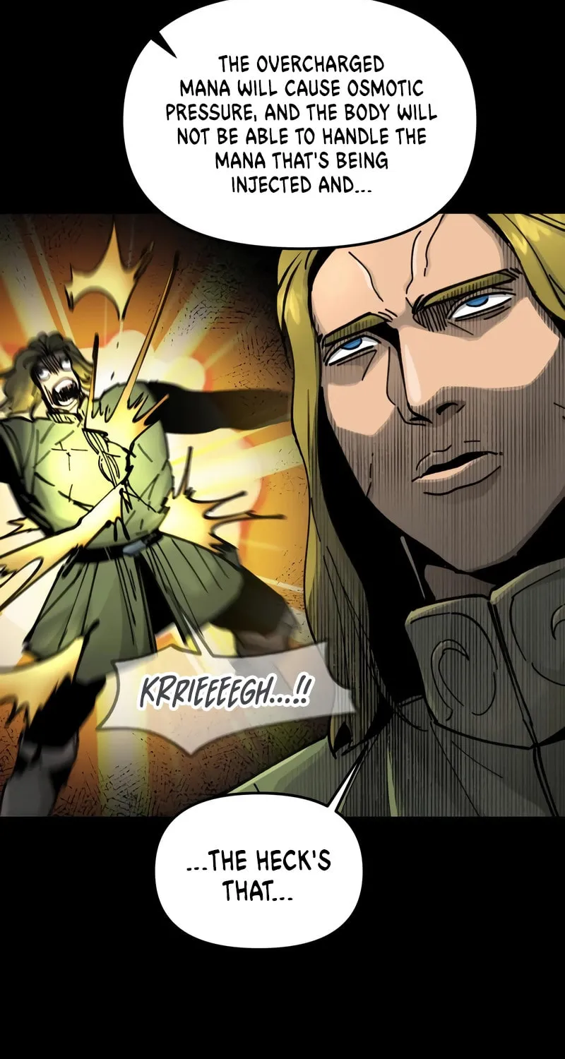 Legend of the Holy Sword Chapter 12 page 13 - 