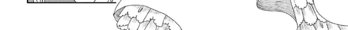 Legendary Wizard Chapter 23 page 28 - 