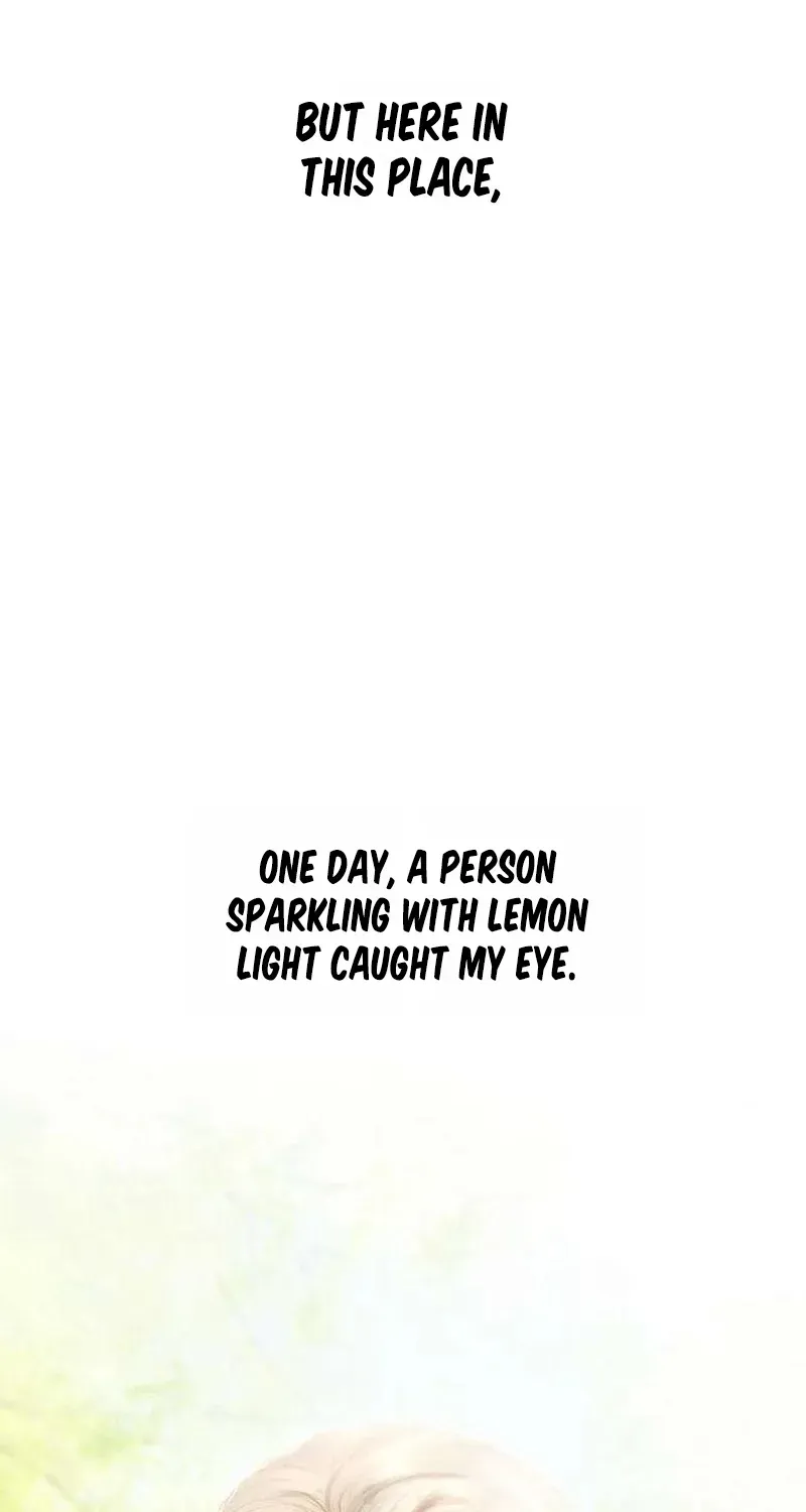 Lemon TreeForest Chapter 18 page 42 - 