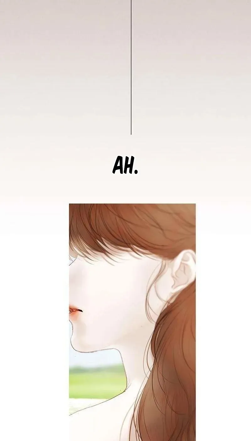 Lemon TreeForest Chapter 21 page 53 - 
