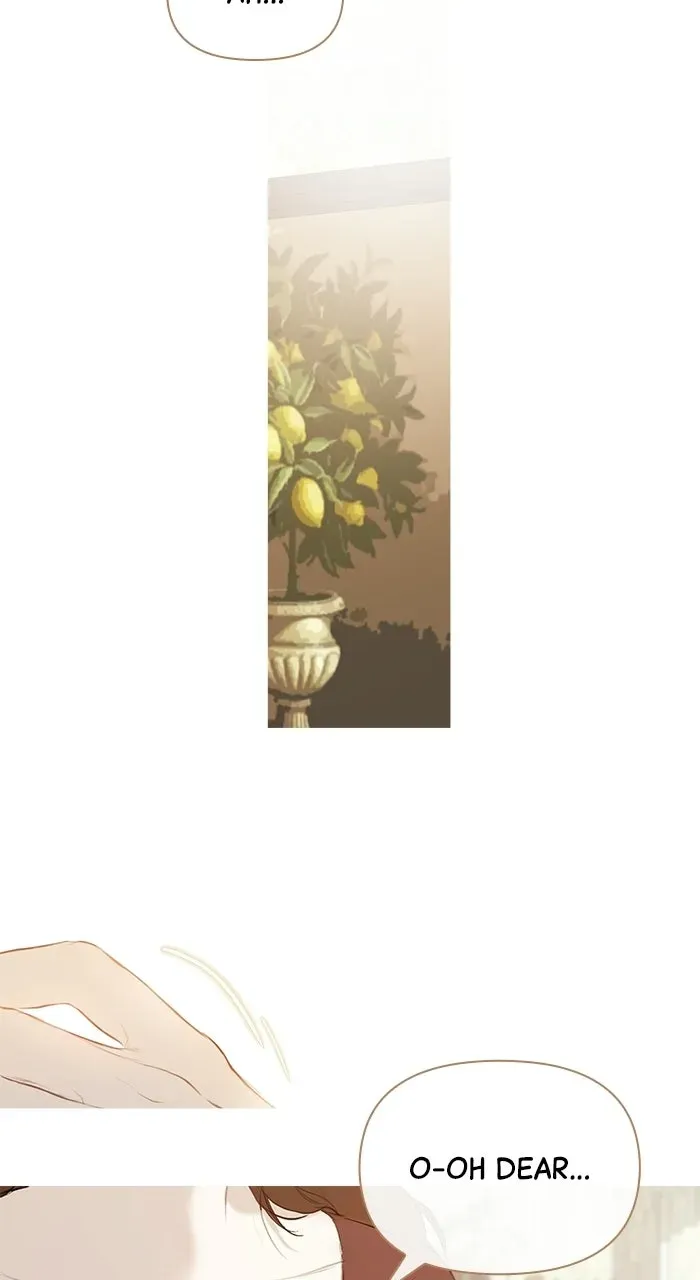 Lemon TreeForest Chapter 2 page 36 - 