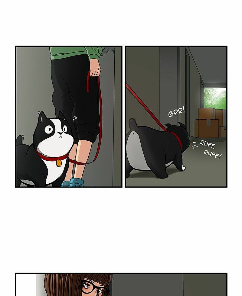 Let