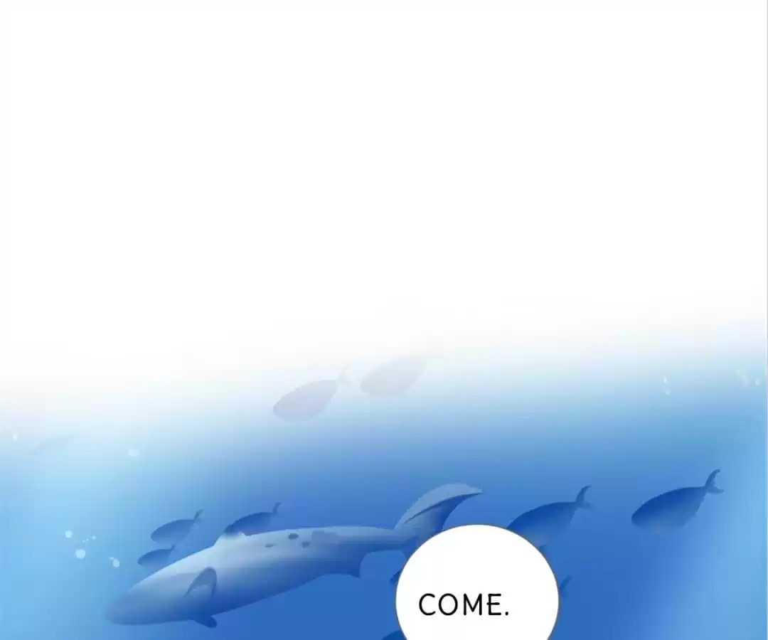 Let