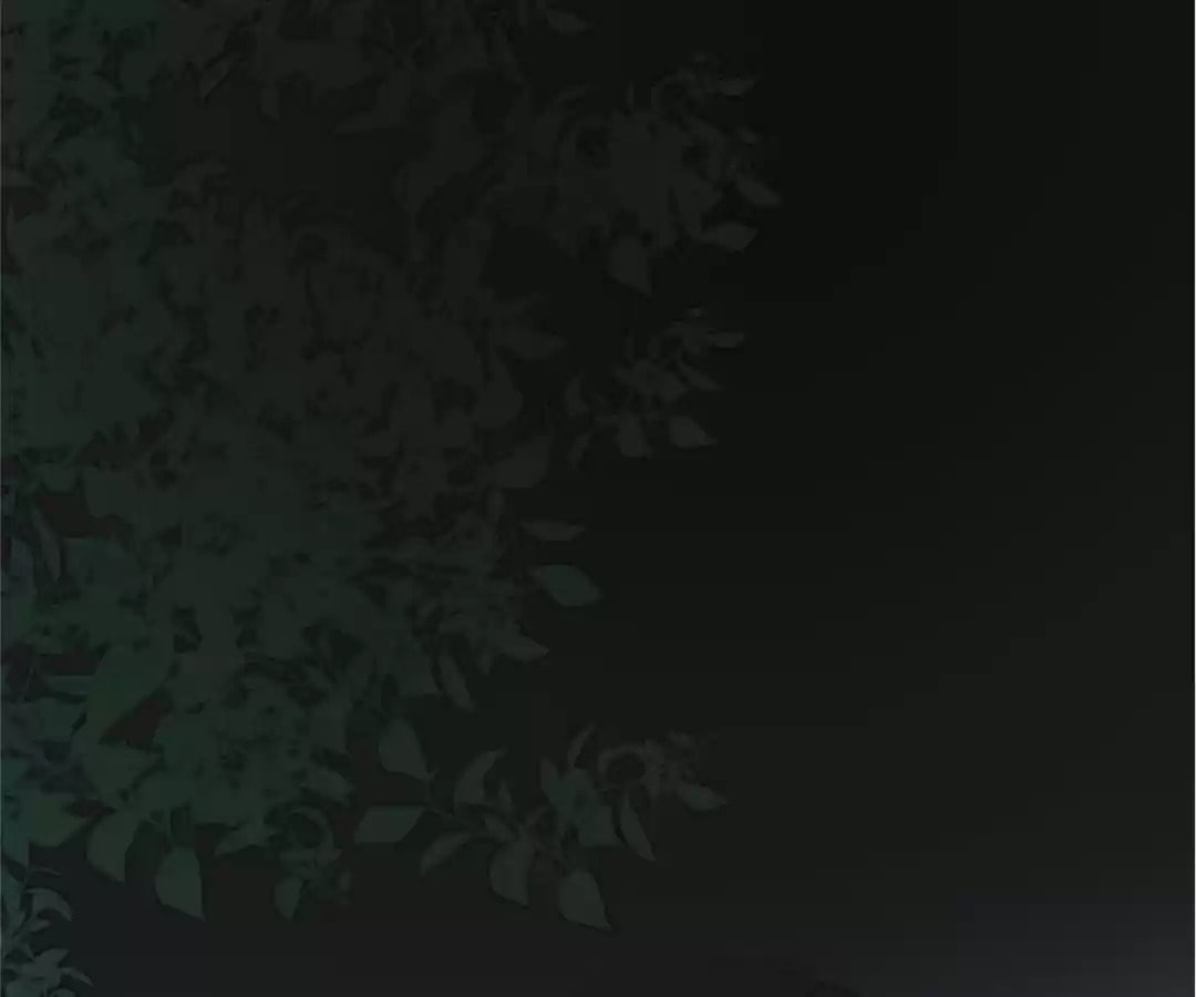 Let