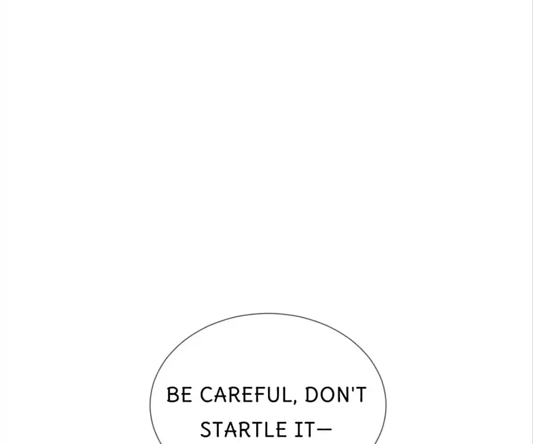 Let