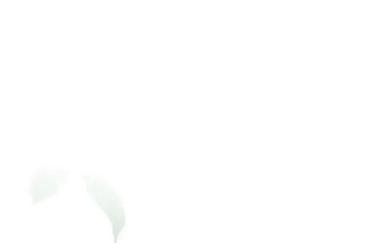 Let