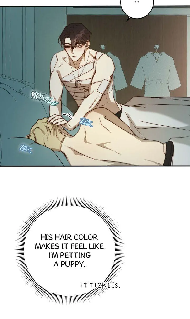 Let