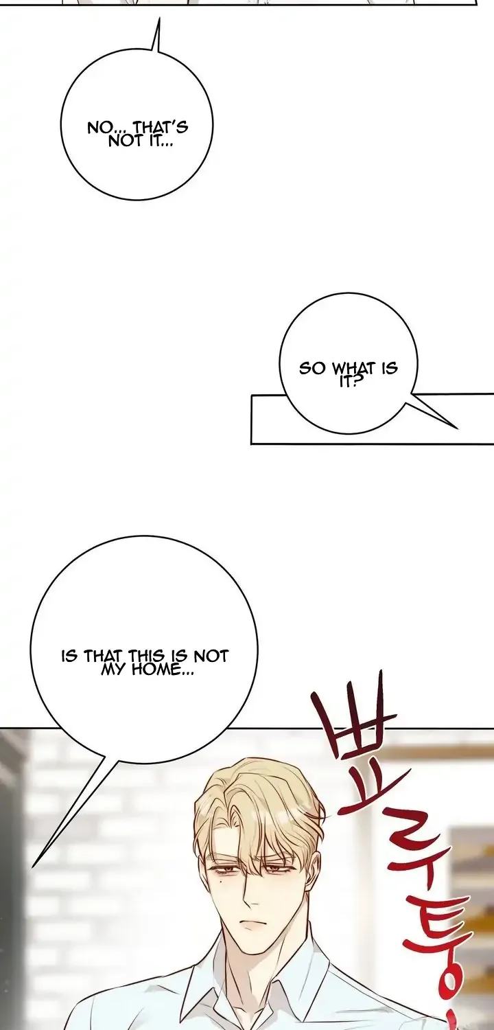 Let