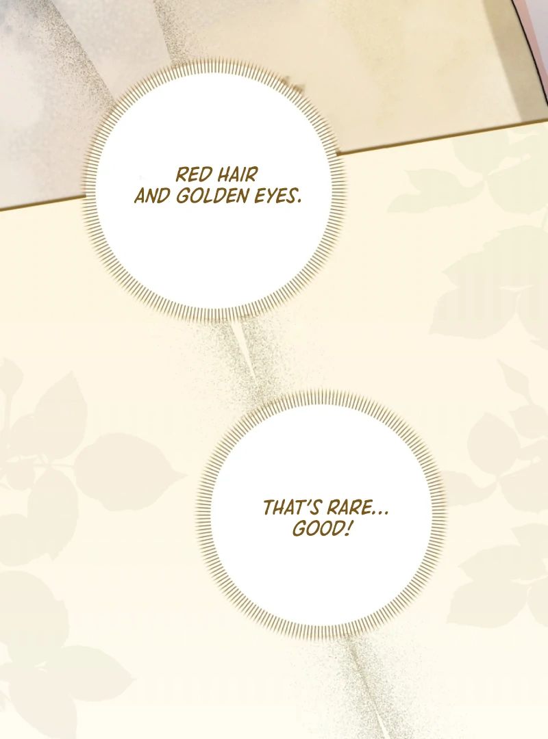 Let’s Divorce, Not Obsess! Chapter 1 page 142 - 