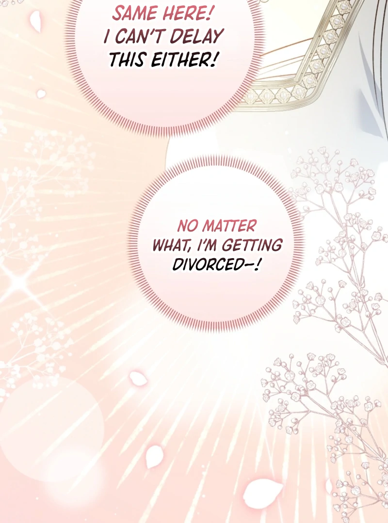Let’s Divorce, Not Obsess! Chapter 15 page 95 - 