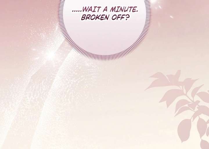 Let’s Divorce, Not Obsess! Chapter 16 page 18 - 