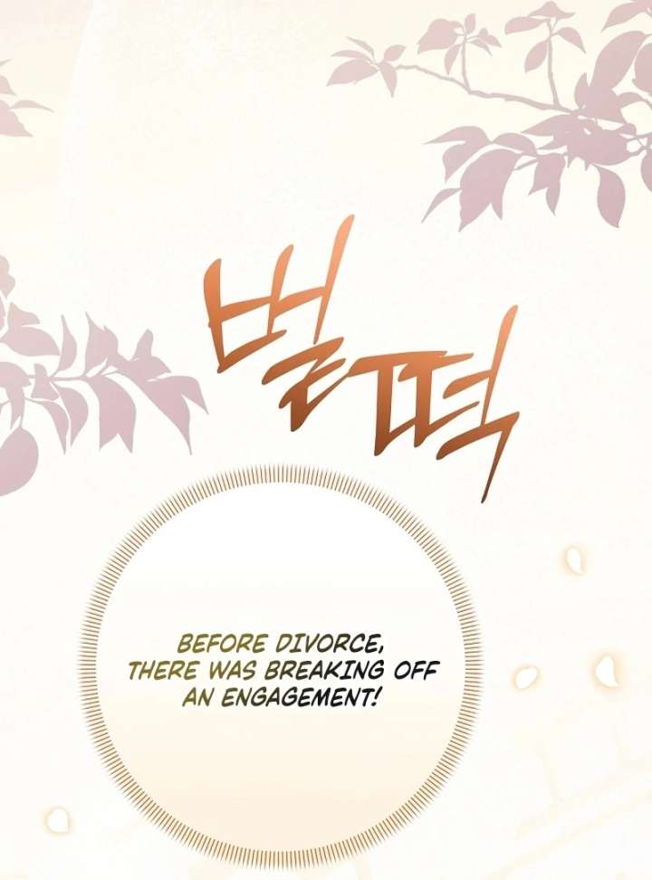 Let’s Divorce, Not Obsess! Chapter 16 page 19 - 