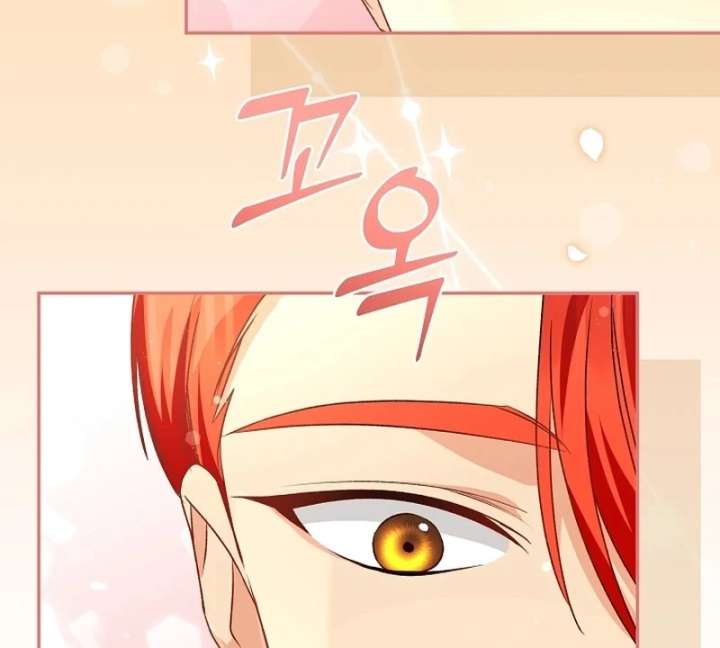 Let’s Divorce, Not Obsess! Chapter 17 page 114 - 