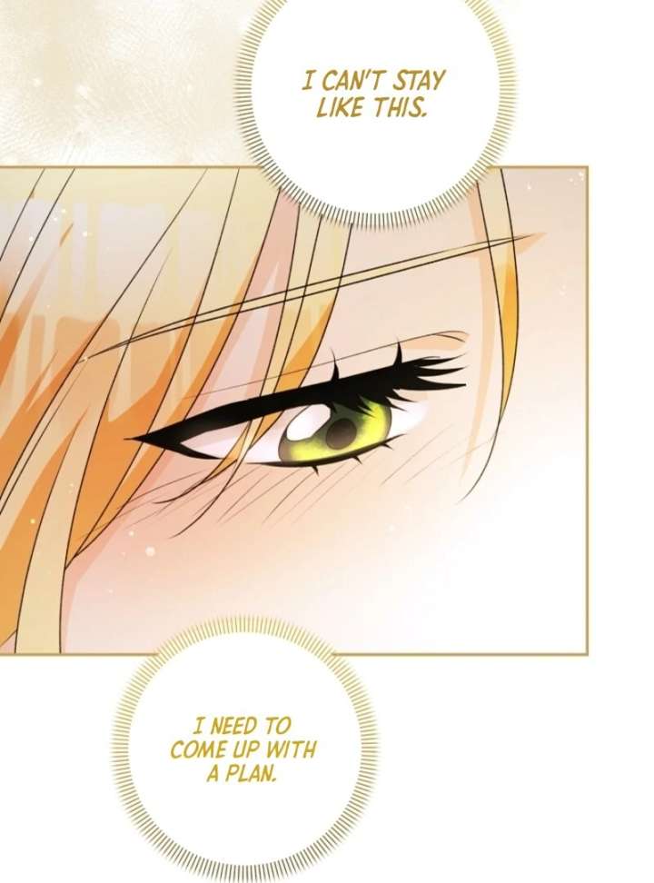 Let’s Divorce, Not Obsess! Chapter 4 page 147 - 