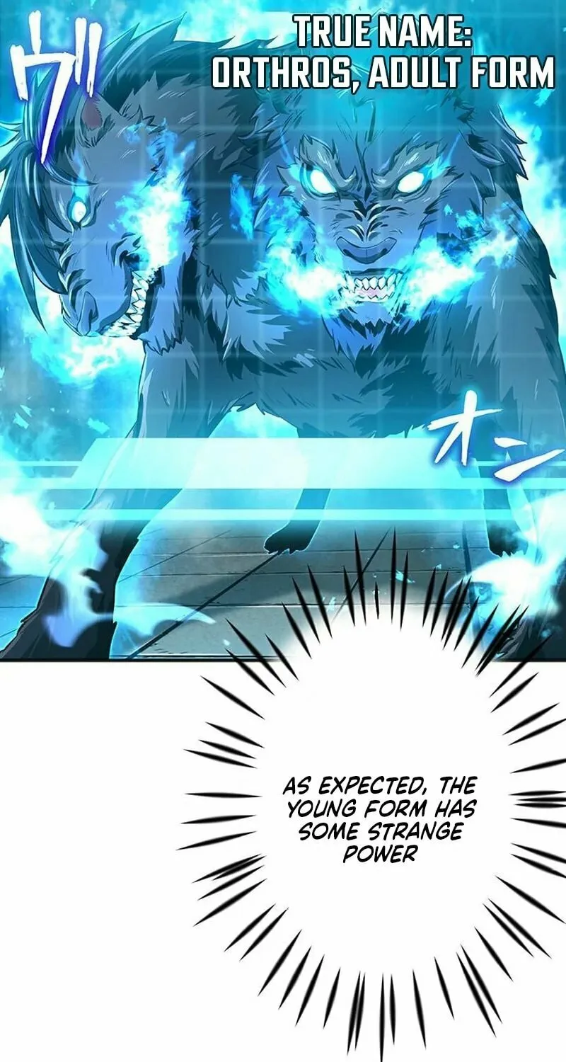 Leveling Up Fast with Divine Measurement Skills Chapter 3 page 61 - 
