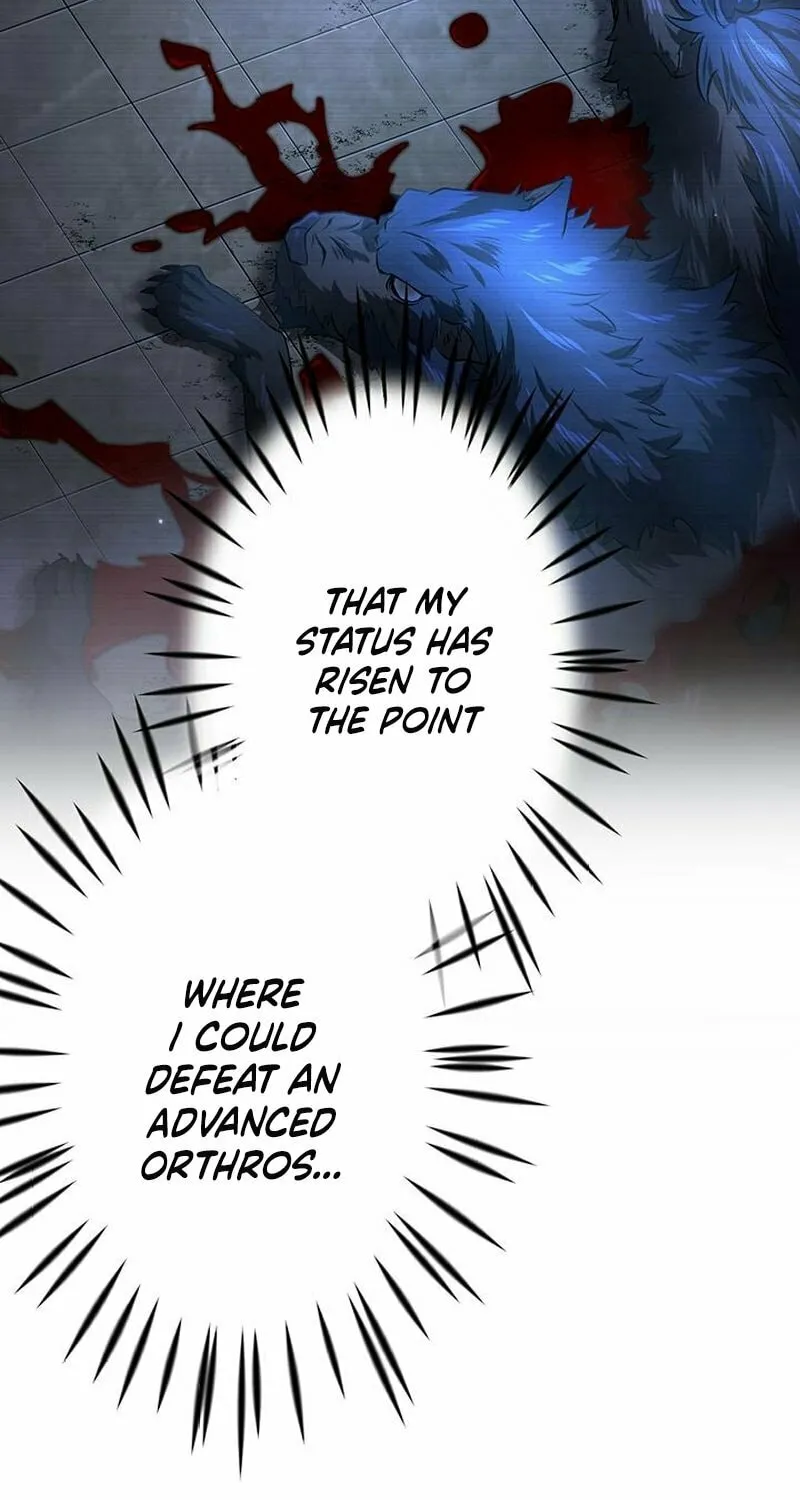 Leveling Up Fast with Divine Measurement Skills Chapter 6 page 33 - 