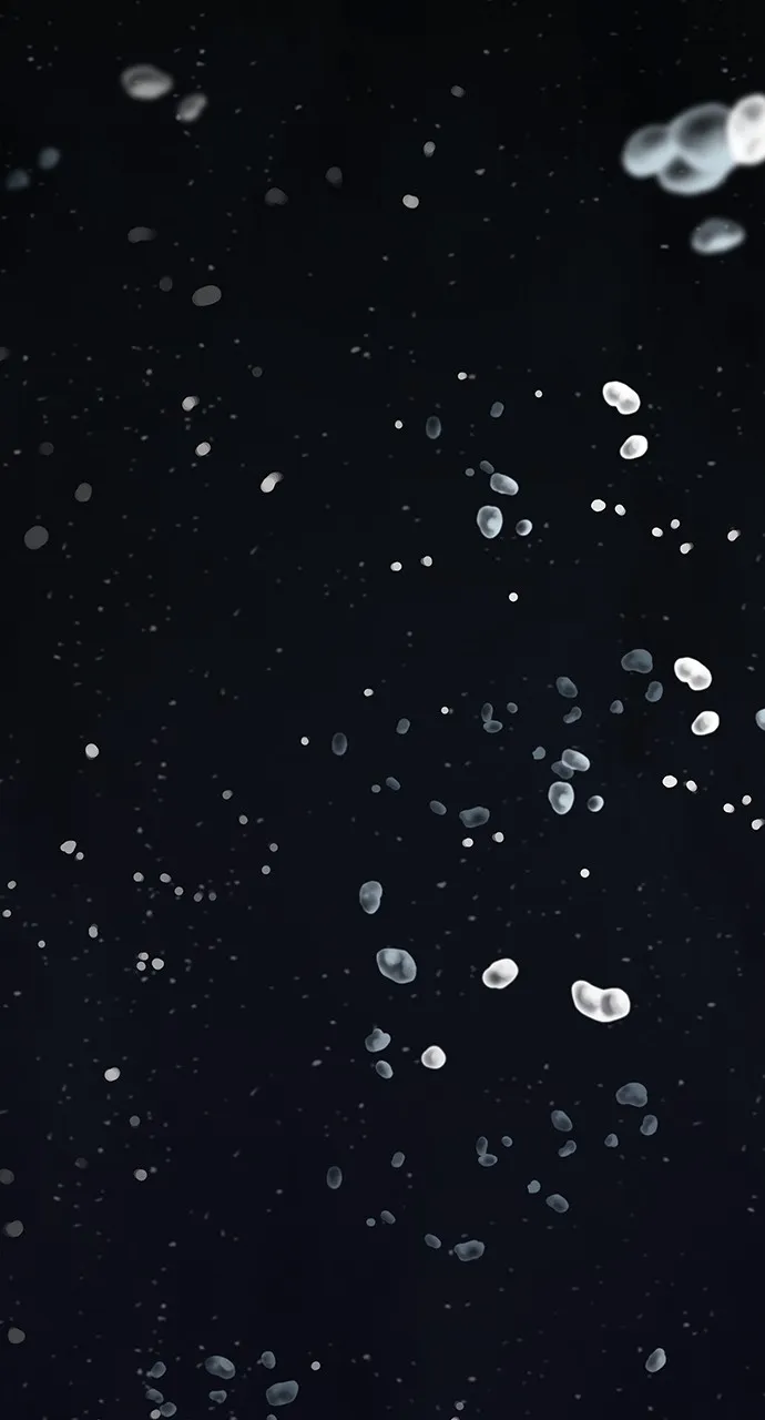 Leviathan Chapter 23 page 80 - 