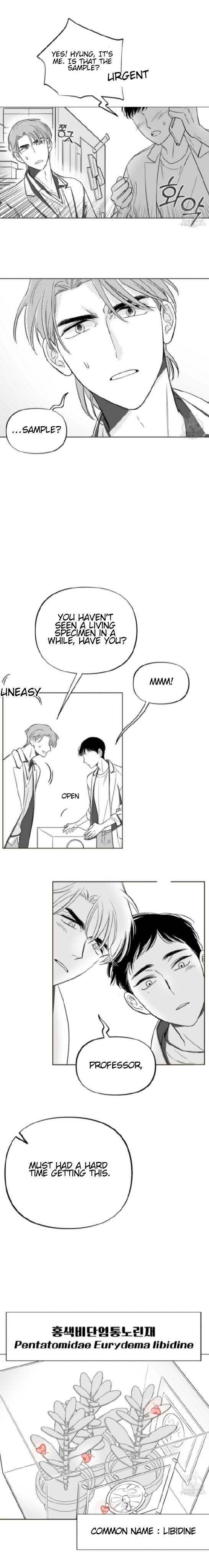 Libido Effect Chapter 2 page 13 - 