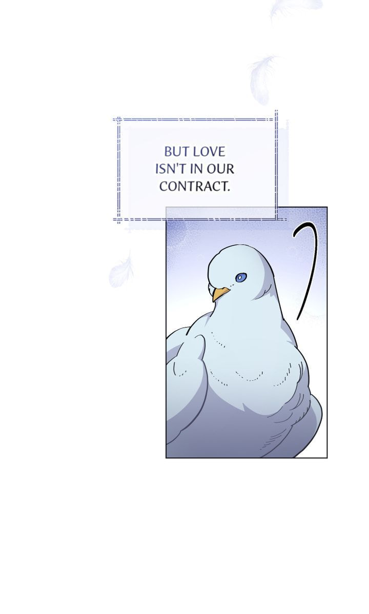 Lies Become You Chapter 13 page 47 - 