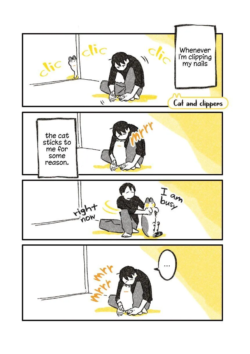 Life with a Grandpa Cat Chapter 3.5 page 1 - 