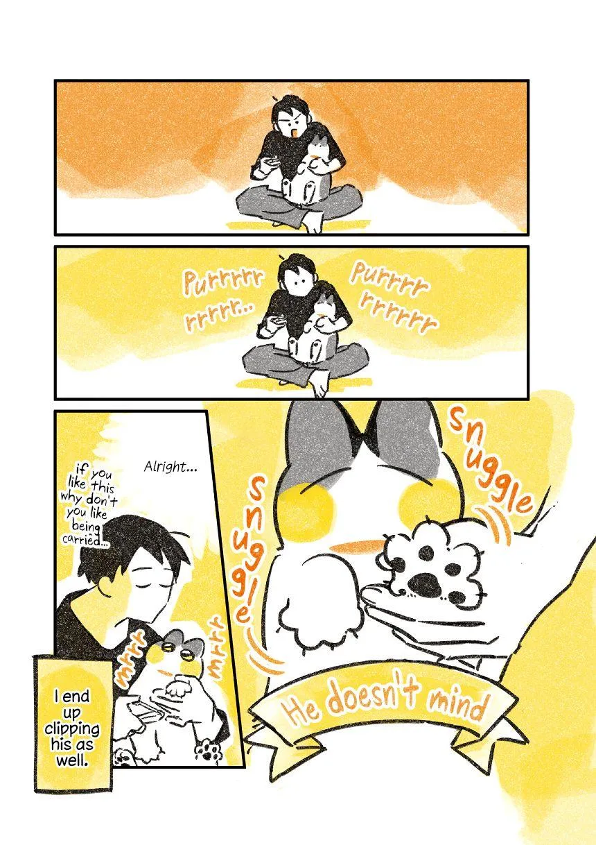 Life with a Grandpa Cat Chapter 3.5 page 3 - 