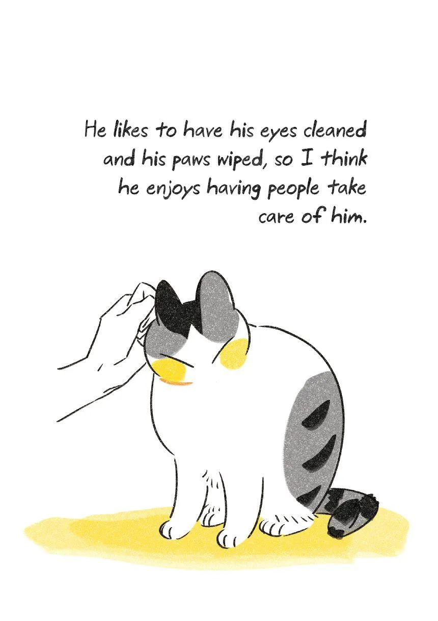 Life with a Grandpa Cat Chapter 3.5 page 4 - 