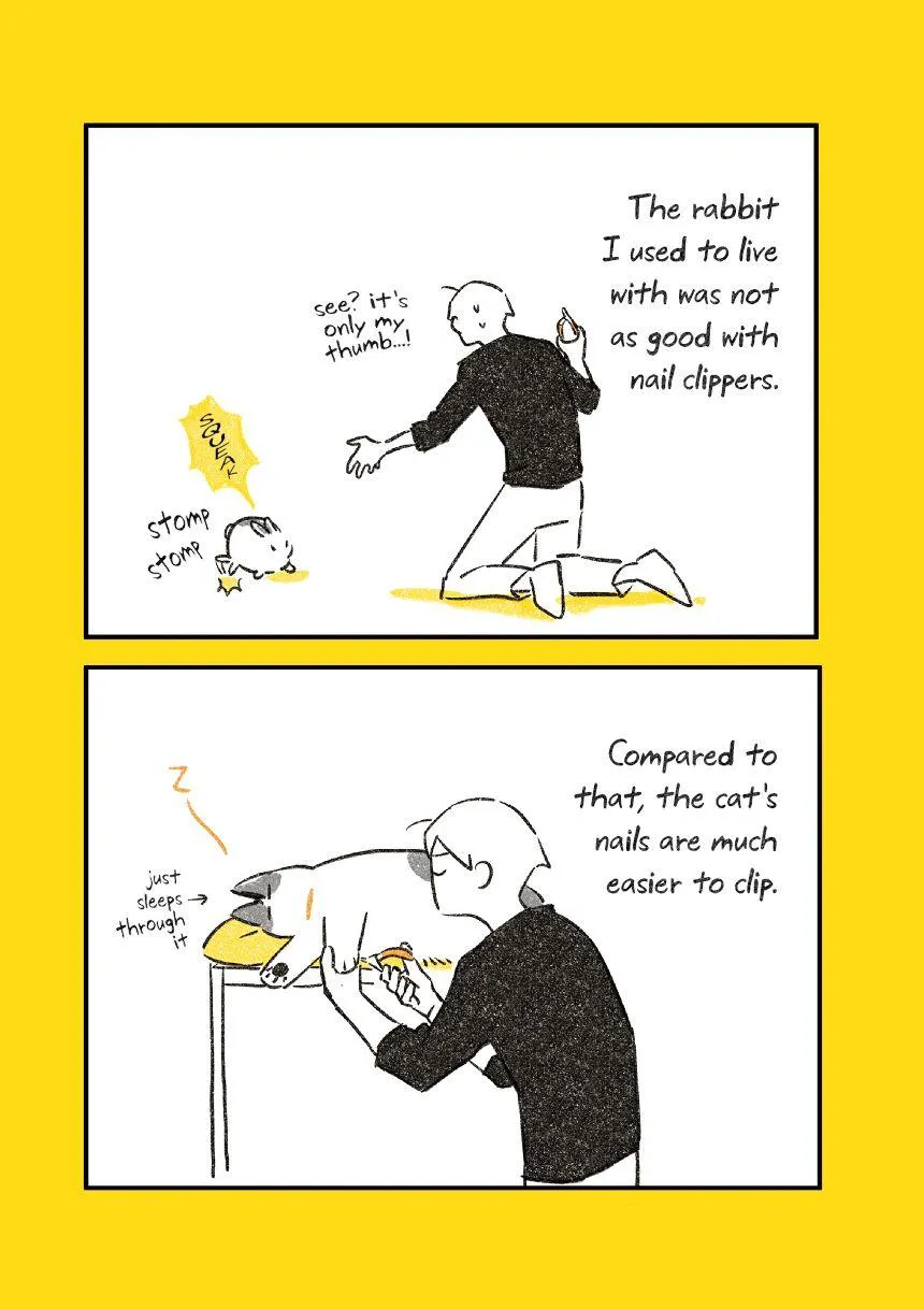 Life with a Grandpa Cat Chapter 3.5 page 5 - 