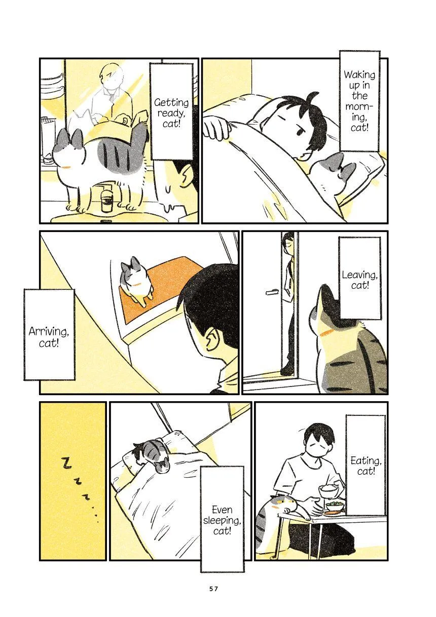Life with a Grandpa Cat Chapter 4 page 2 - 