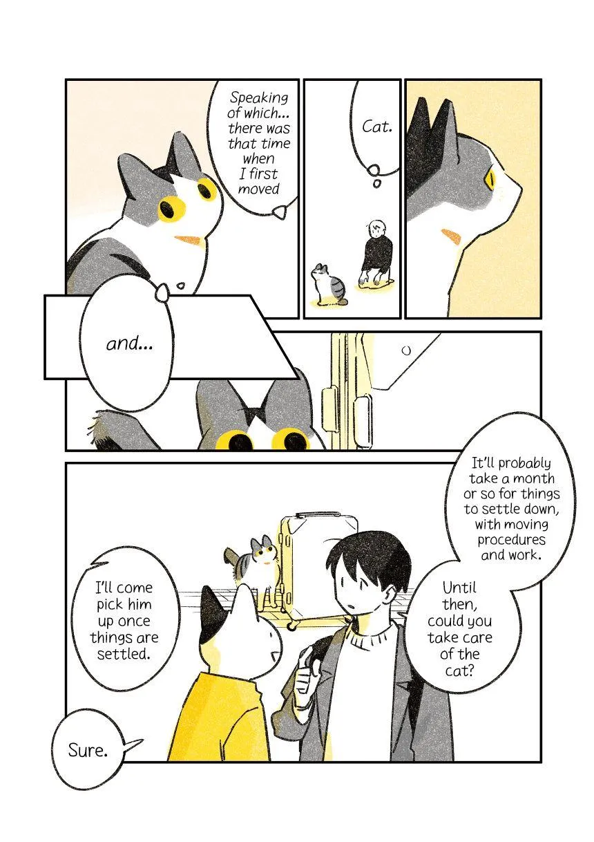 Life with a Grandpa Cat Chapter 4 page 3 - 