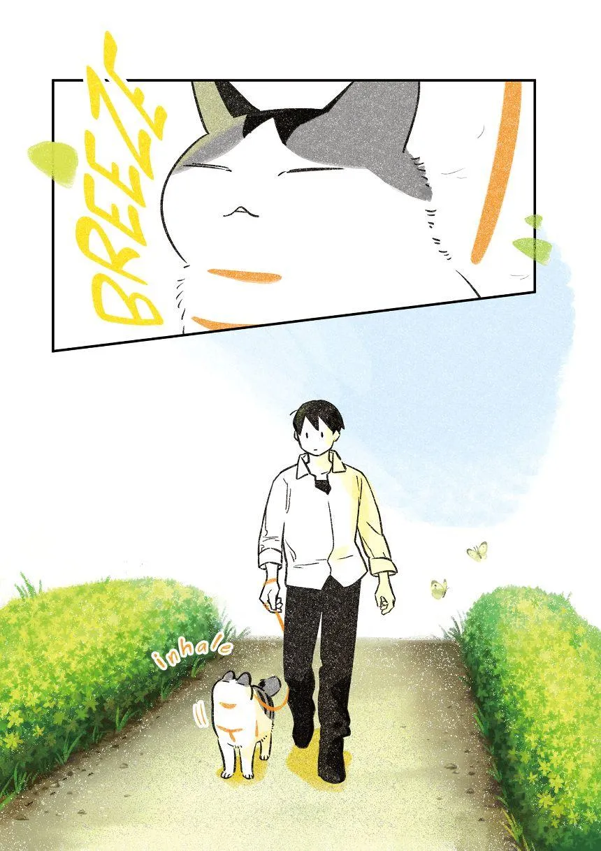 Life with a Grandpa Cat Chapter 6 page 2 - 