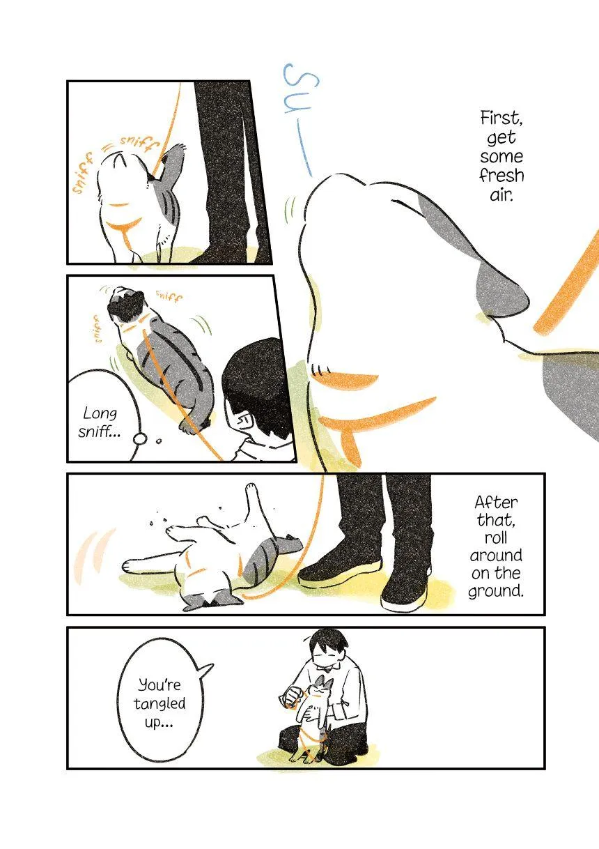 Life with a Grandpa Cat Chapter 6 page 3 - 
