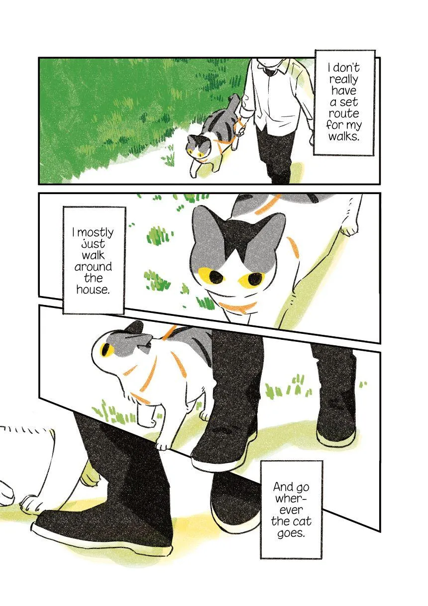 Life with a Grandpa Cat Chapter 6 page 4 - 