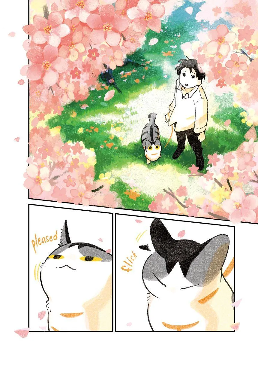 Life with a Grandpa Cat Chapter 6 page 7 - 